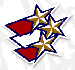 Fc Dream Team.gif