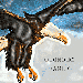 Olomouc Eagle.gif