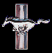 Sk Mustang Sporilov.gif